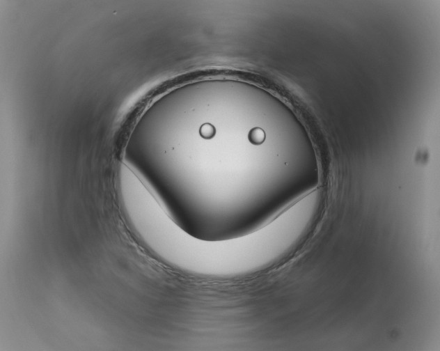 X0000112751310200909101530