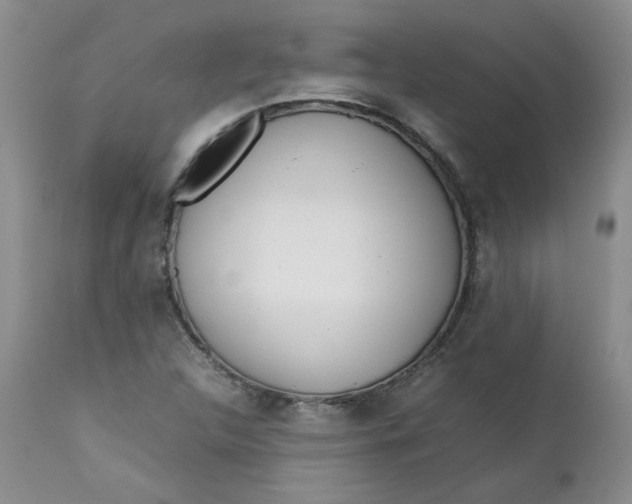 X0000112751312200909101530