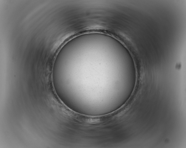 X0000112751313200909101530