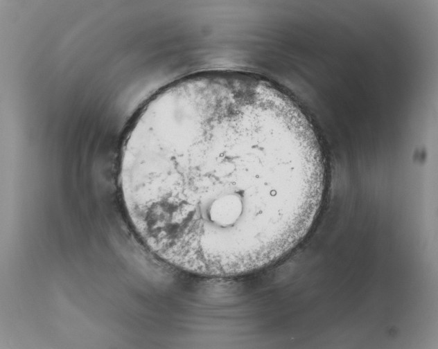 X0000112751314200909101530