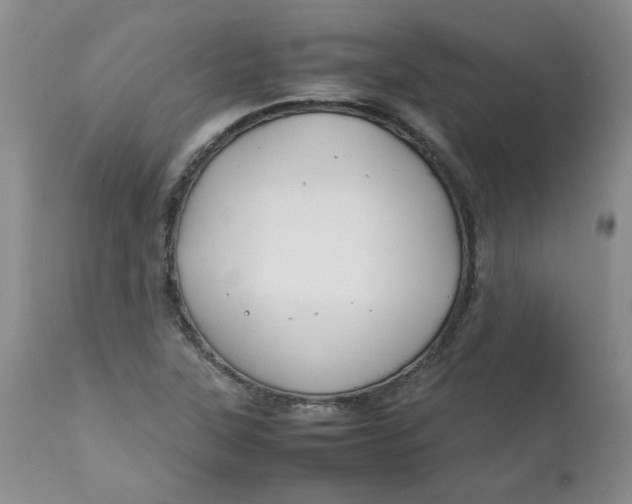 X0000112751315200909101530