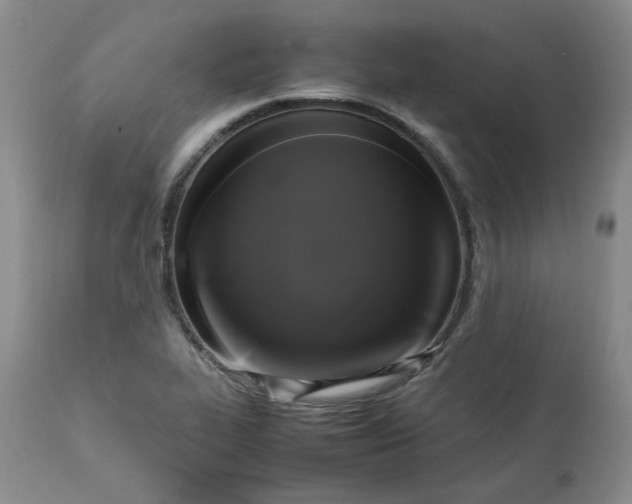 X0000112751319200909101530