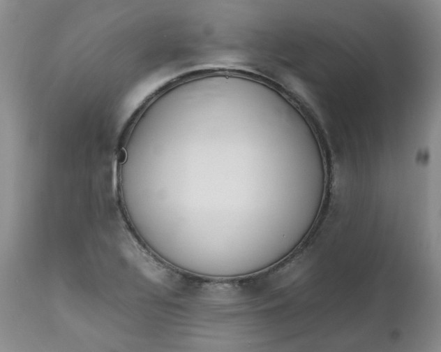 X0000112751320200909101530