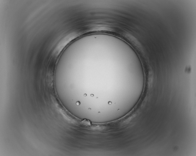 X0000112751321200909101530