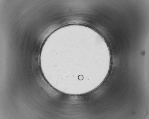 X0000112751322200909101530