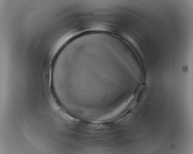 X0000112751323200909101530