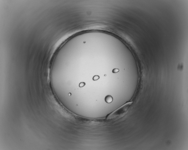 X0000112751324200909101530