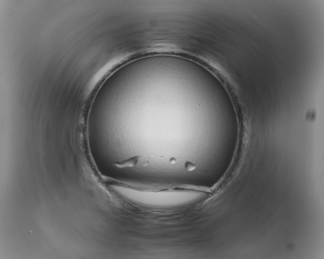 X0000112751325200909101530