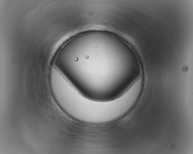 X0000112751326200909101530