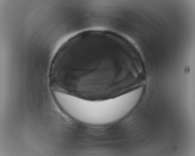 X0000112751327200909101530