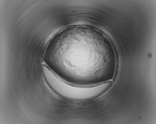 X0000112751329200909101530