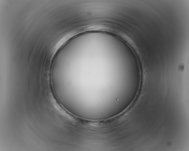 X0000112751330200909101530