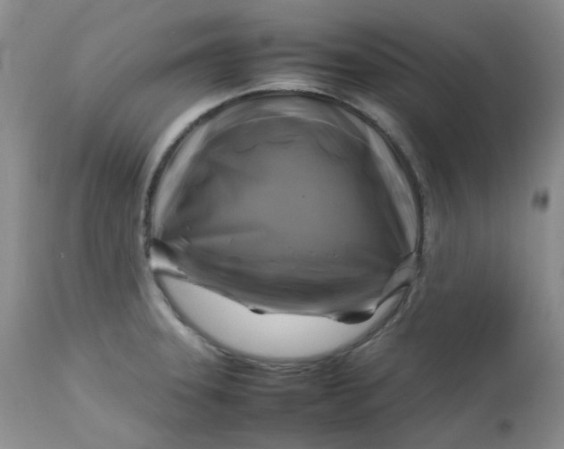 X0000112751331200909101530