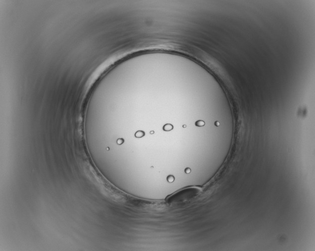 X0000112751332200909101530