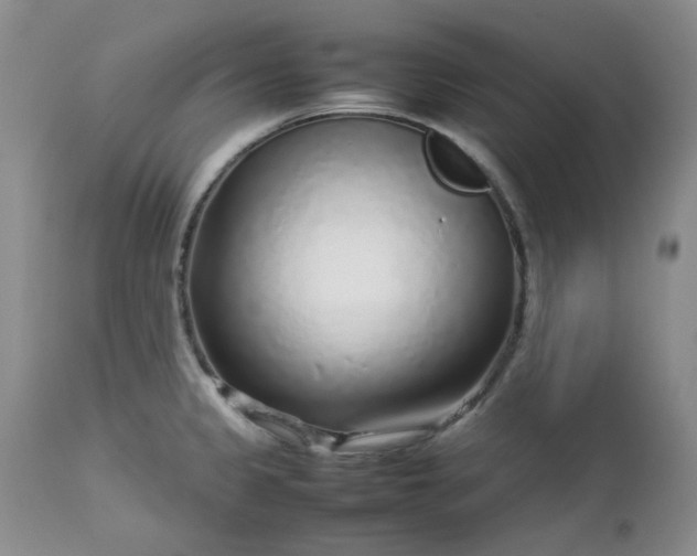 X0000112751333200909101530