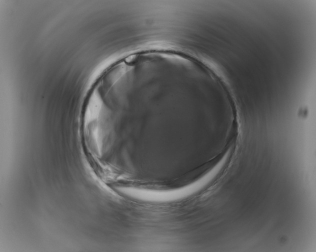 X0000112751334200909101530