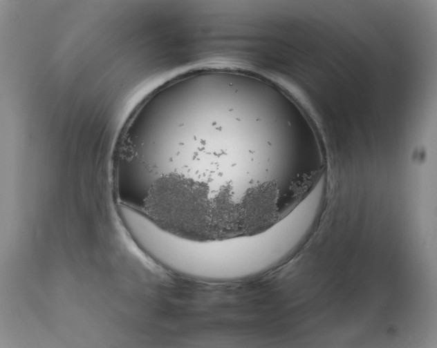 X0000112751335200909101530