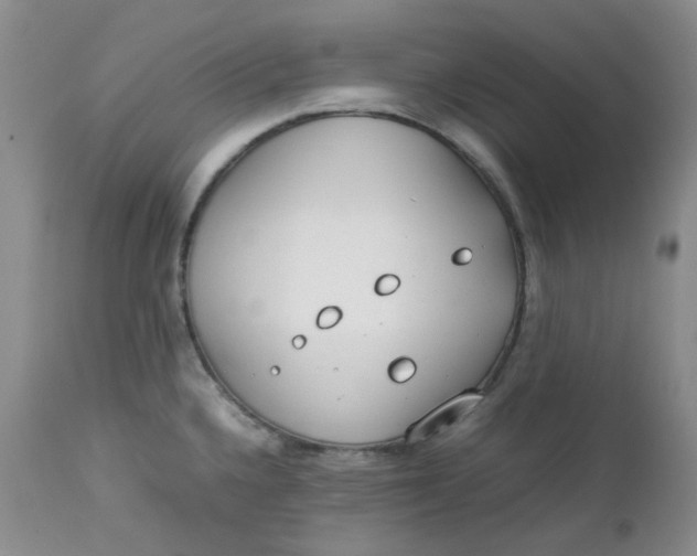 X0000112751336200909101530