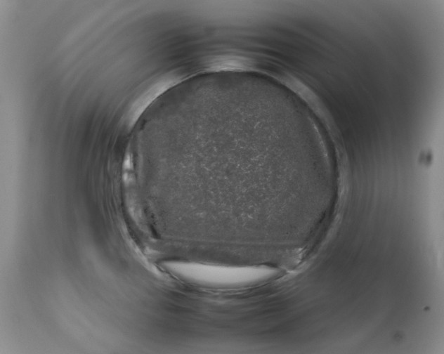 X0000112751337200909101530