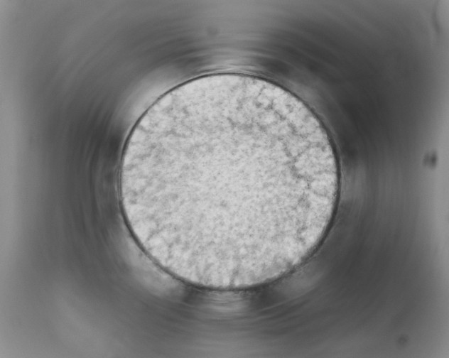 X0000112751338200909101530