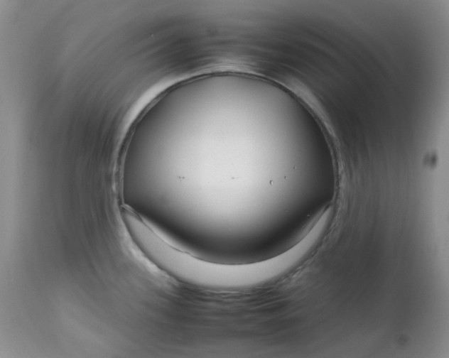 X0000112751339200909101531