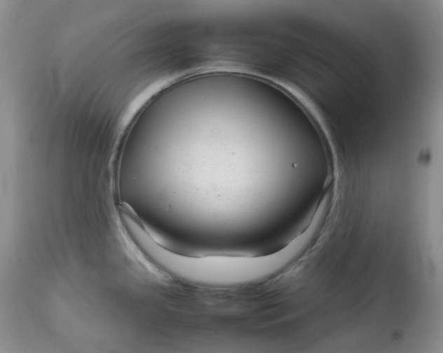 X0000112751341200909101531