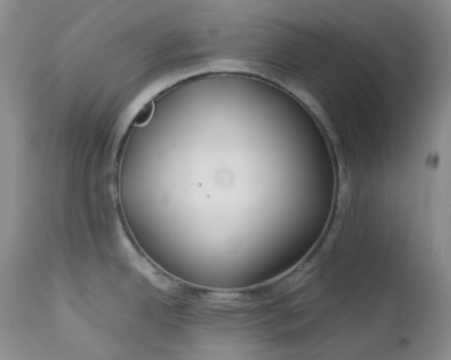 X0000112751342200909101531