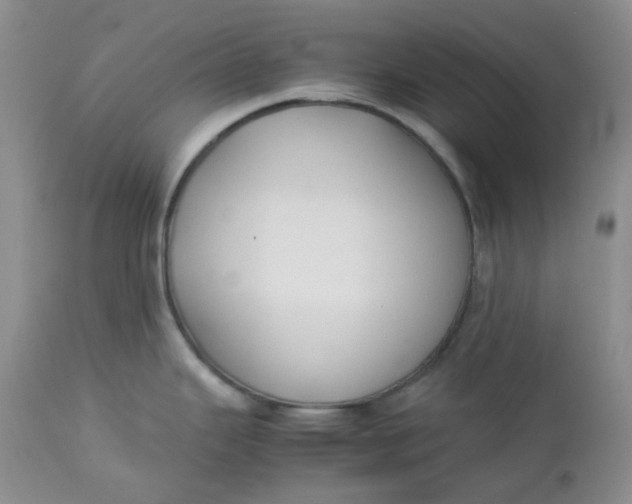 X0000112751343200909101531