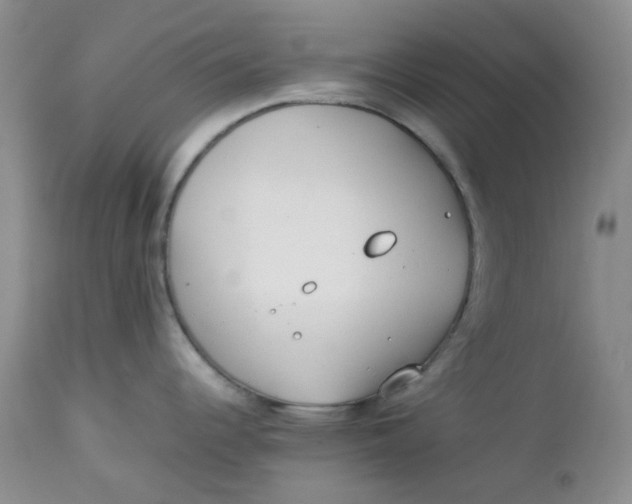 X0000112751344200909101531