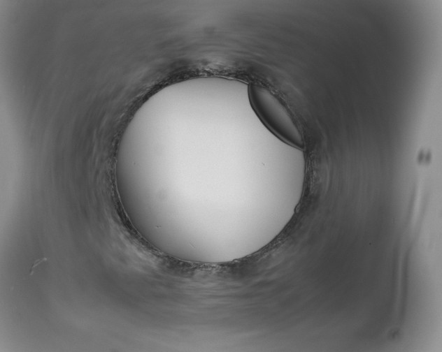 X0000112751345200909101530