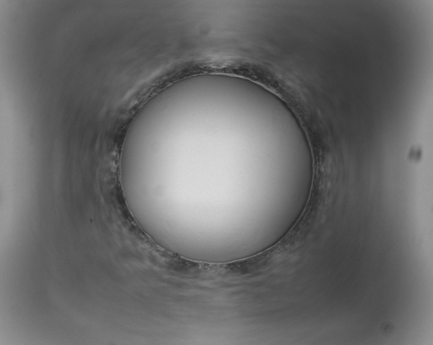 X0000112751349200909101530