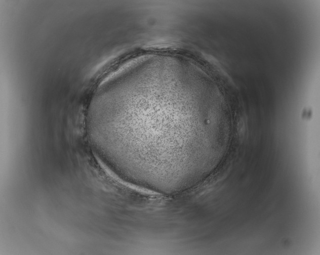 X0000112751350200909101530