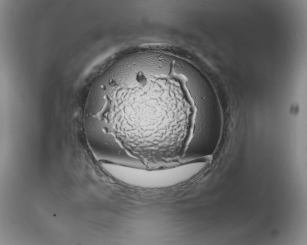 X0000112751351200909101530