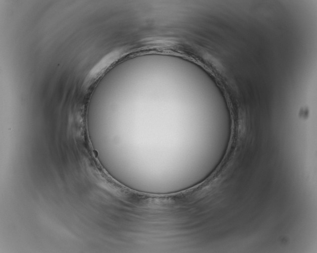 X0000112751354200909101530