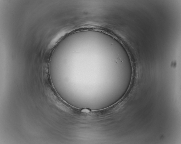 X0000112751355200909101530