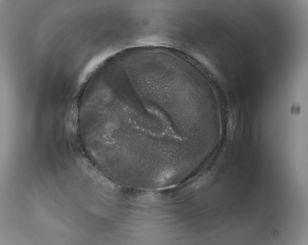 X0000112751358200909101530