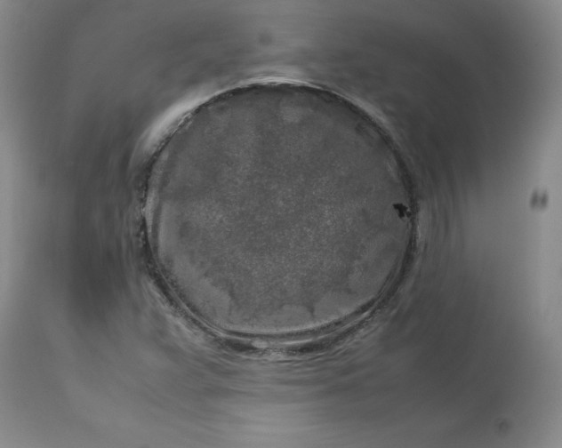 X0000112751359200909101530