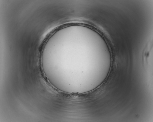 X0000112751360200909101530