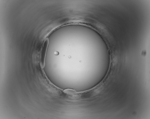 X0000112751361200909101530