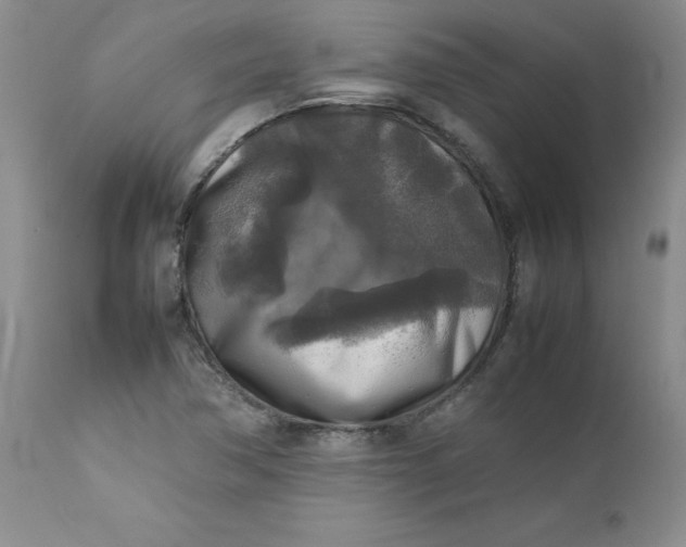 X0000112751362200909101530