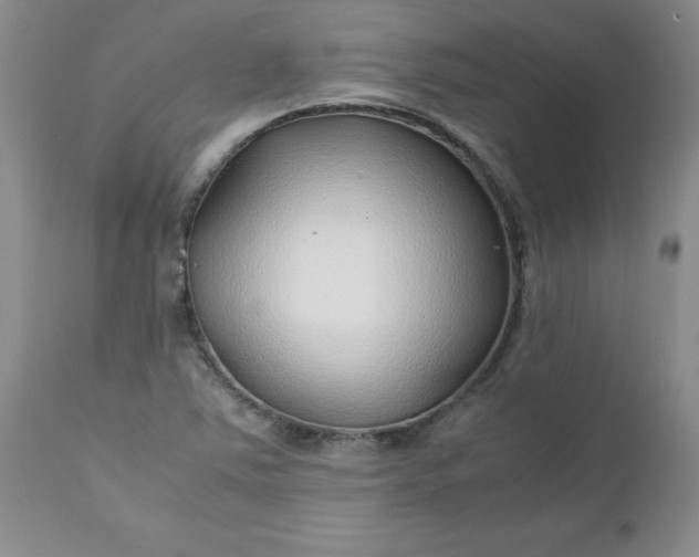 X0000112751363200909101530