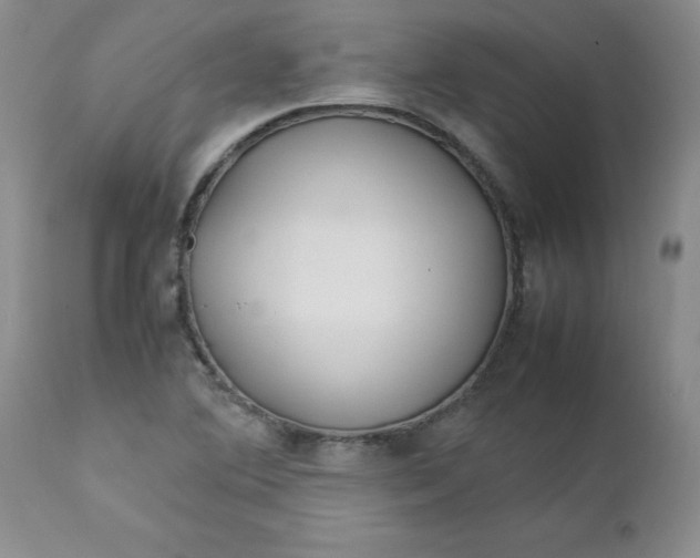 X0000112751364200909101530