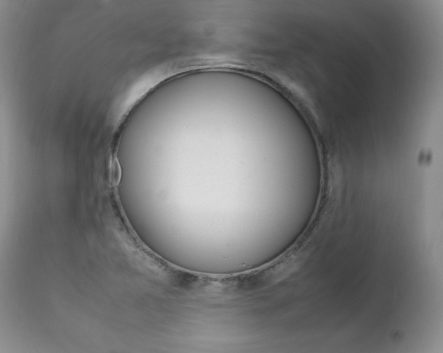 X0000112751365200909101530