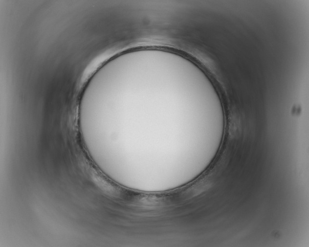 X0000112751366200909101530