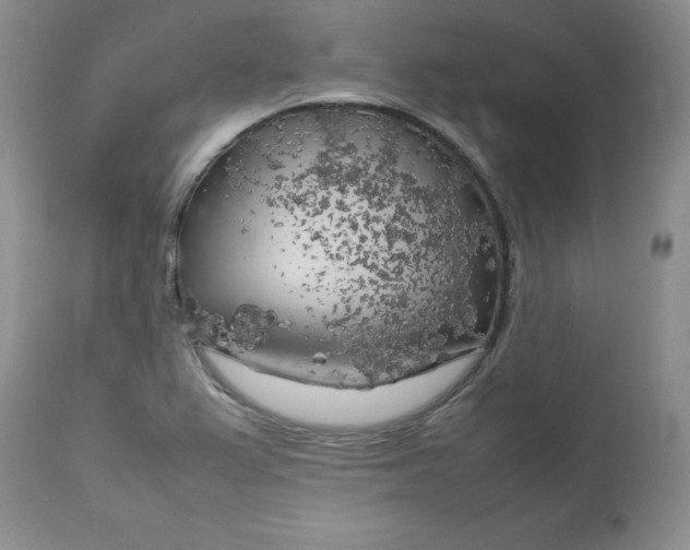 X0000112751367200909101530