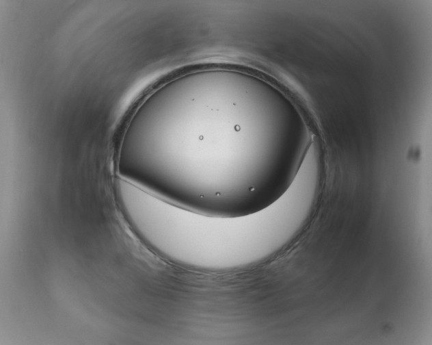 X0000112751368200909101530