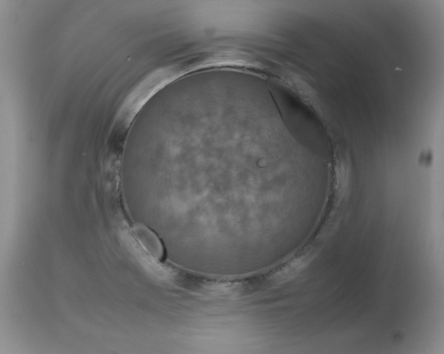 X0000112751369200909101530