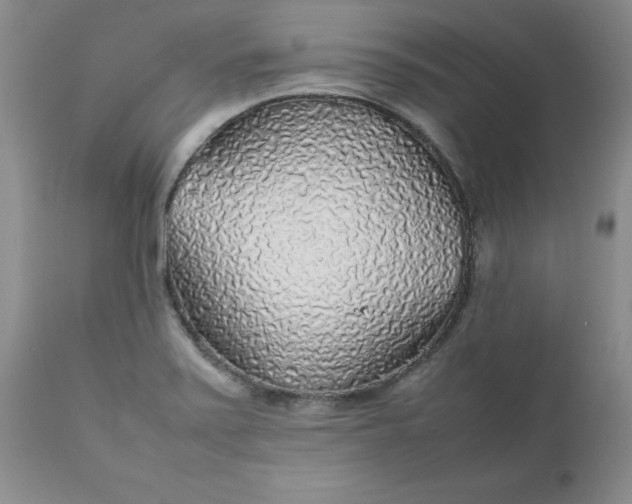 X0000112751371200909101530