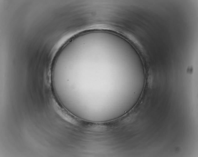 X0000112751372200909101530