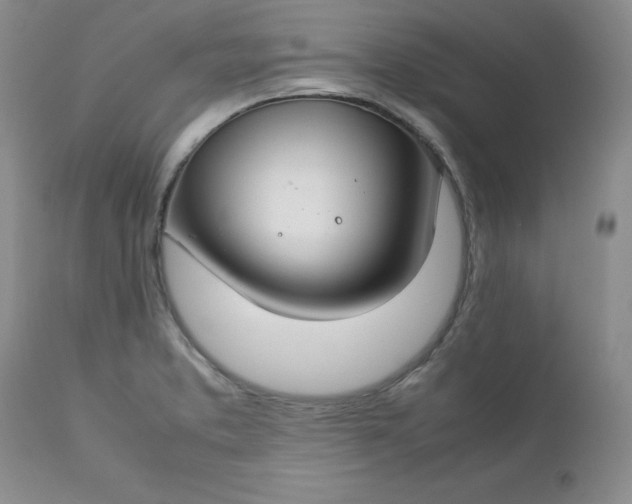 X0000112751373200909101530